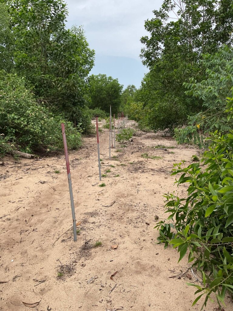 01dc0ef5-5aaa-4233-8e61-aa6c4b8109dd