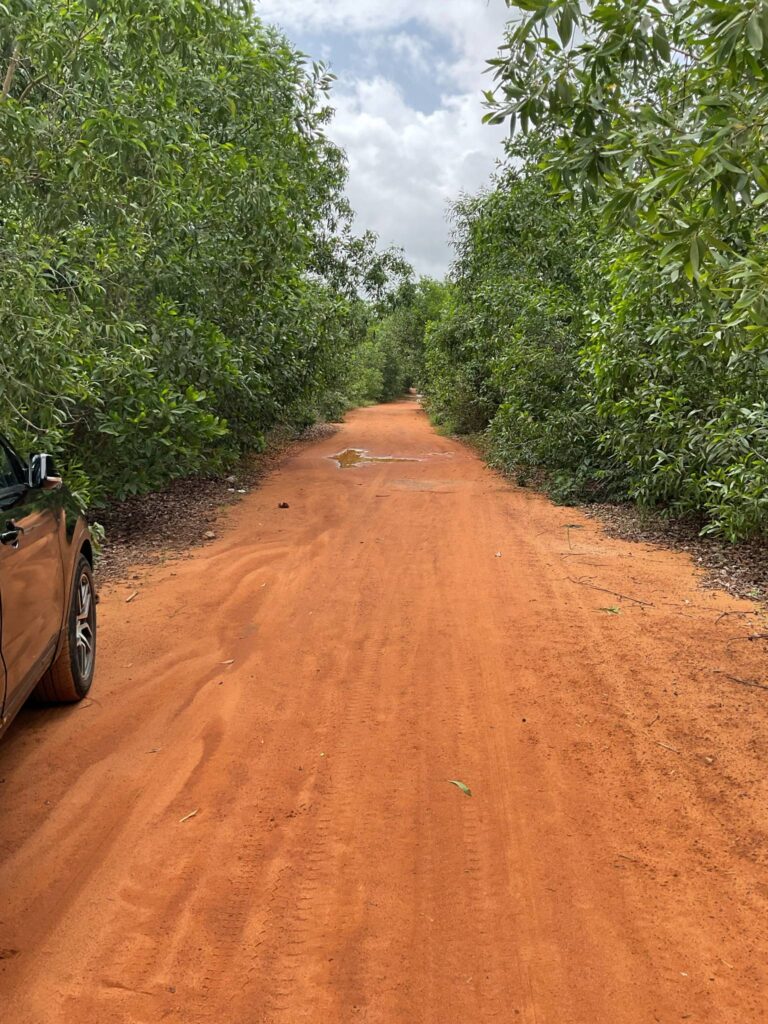 02d7949a-04da-4ed7-9340-30b6a6c7058c