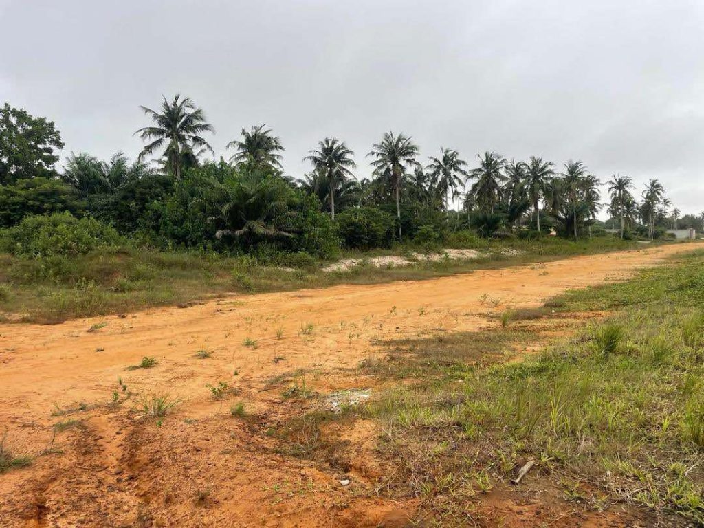 326e7b6a-569b-445b-ad9f-aca4cf0fc268