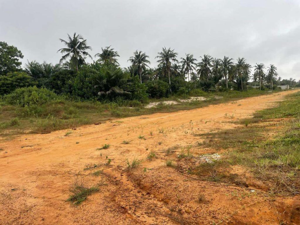 33aa1a05-f665-4363-b648-72d4142c44d5