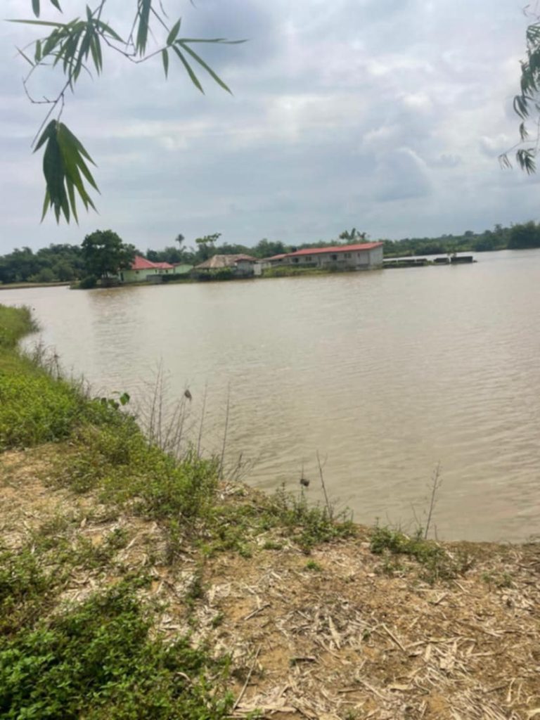 48ffd7bf-63a4-4530-a630-8c7f0e7adb3e (1)