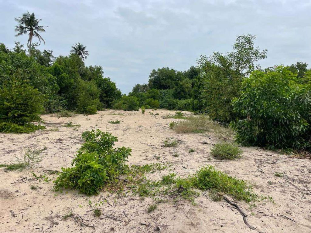 aa1769fa-56fb-4aab-ac53-0613936cb973