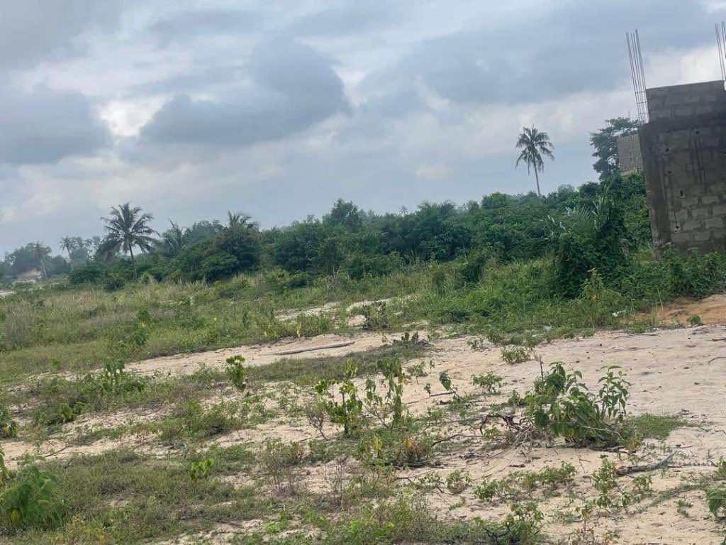 b2c72b37-9c4b-4273-aec4-49df1f5eb70a