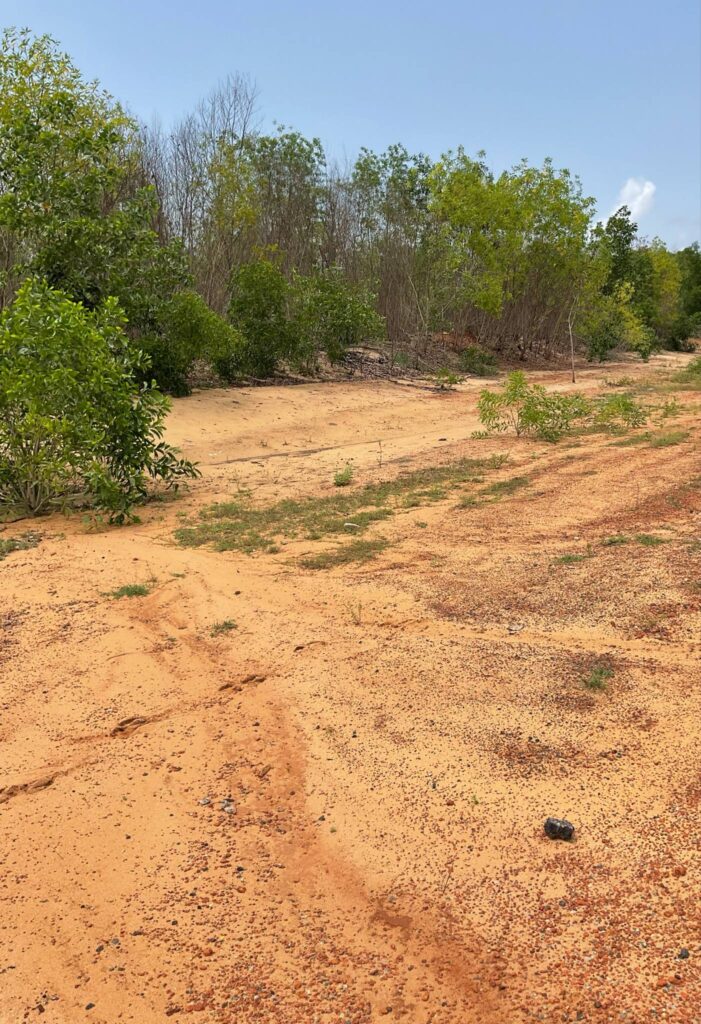 cac755a6-a4ad-4f13-b78d-ff6d7bbd3ddf