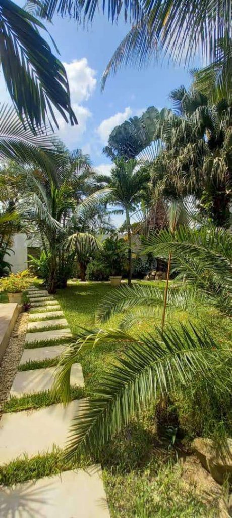 53c80e89-f47c-435c-bf1f-cfec9053f8a7