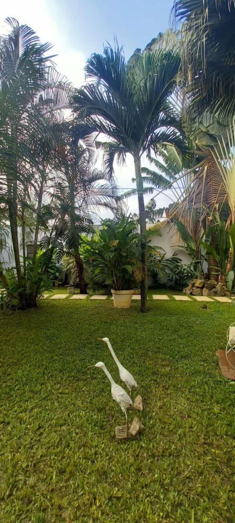 a39ce7ff-996f-41f7-bea8-2bb6b7ad7903