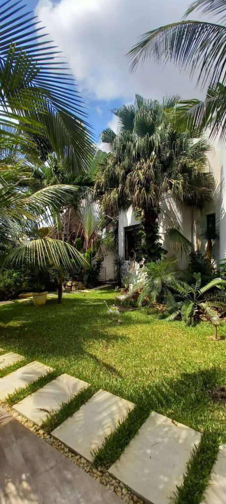 c6752510-b024-40b1-acee-dbba49ed41ef