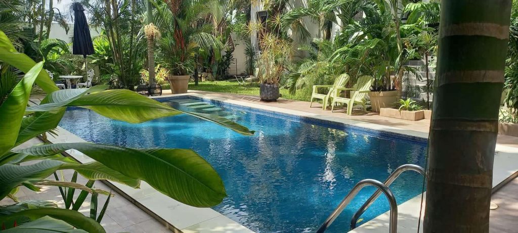 e3096a11-0268-4aa8-862c-1a948375eafd