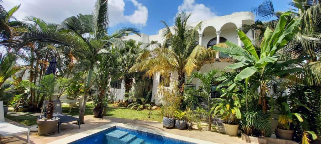 eee27921-96fb-4daf-96b5-2f17ef641fa9