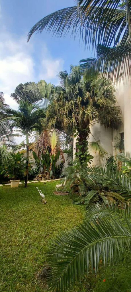 f82f8ebf-7ee3-41ef-8b3d-8c95de339a88