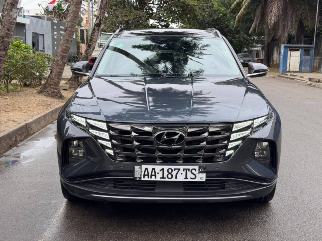 540167683_122132208464896126_6024430727334826372_n