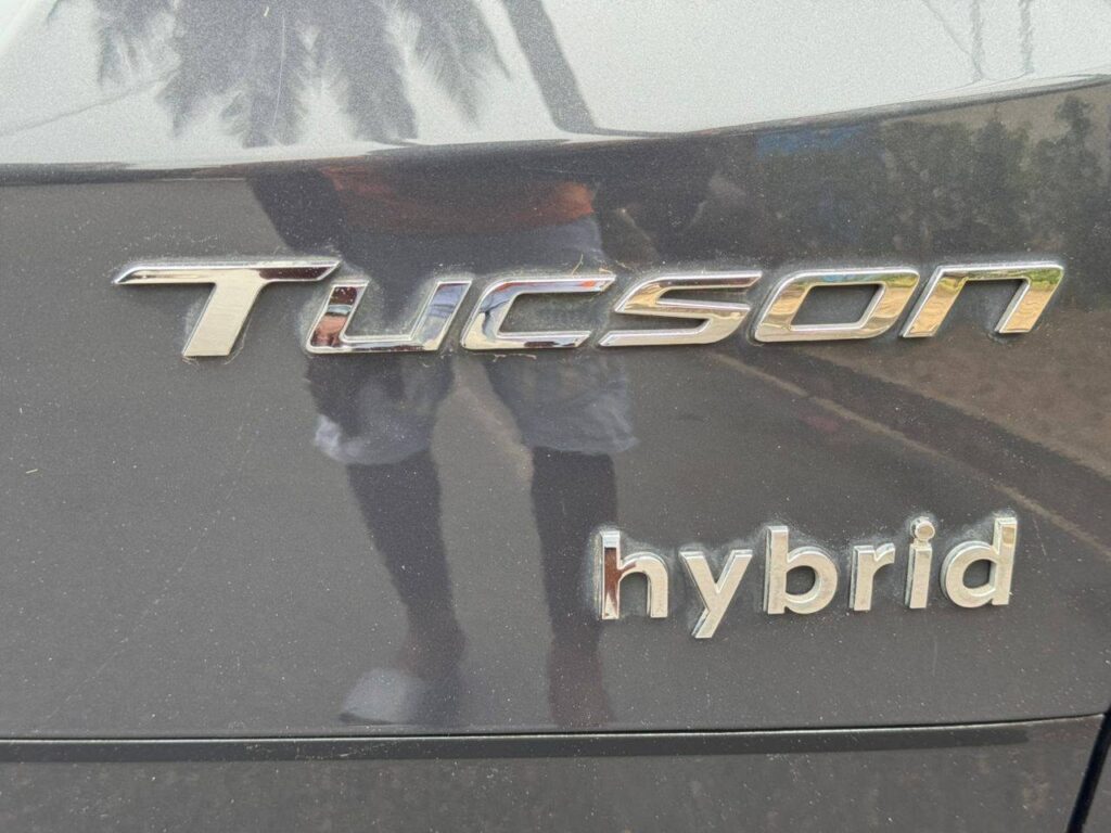 540458028_122132208950896126_7182420238051979672_n