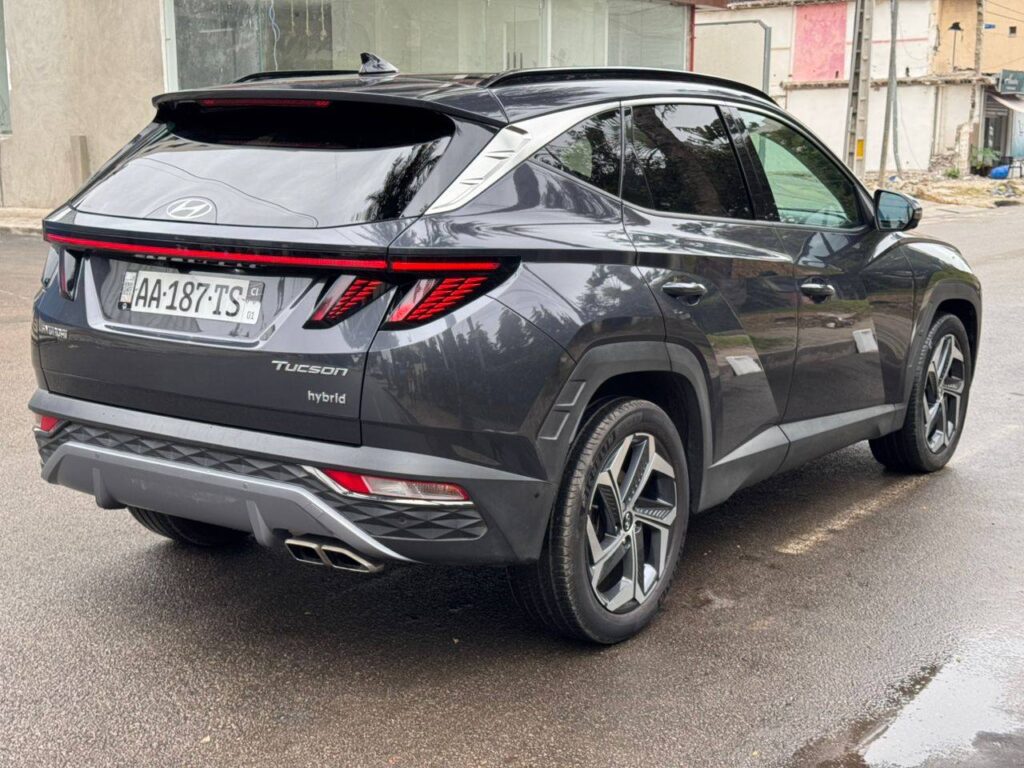 541853414_122132208680896126_7514123921383367960_n