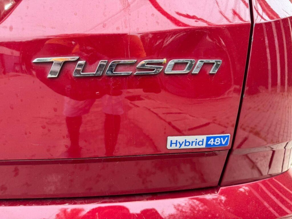 543115987_122133118820896126_8914859080751166949_n