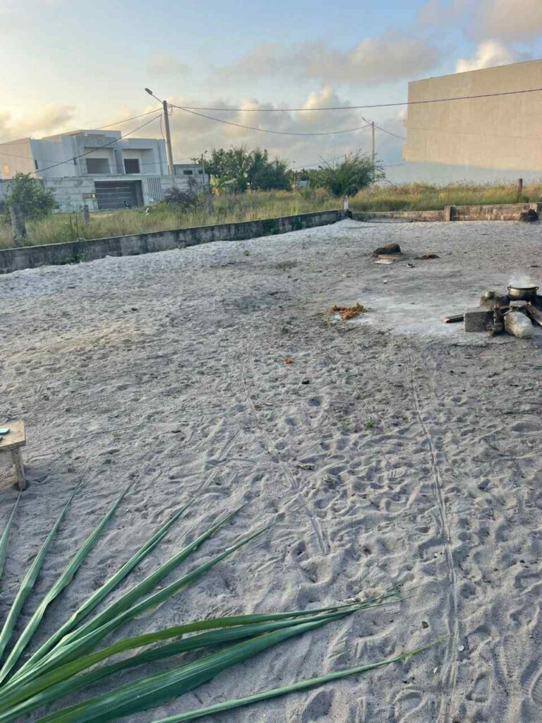 5f2cb6e1-9624-4eb7-9dbd-c7d7cd54a838