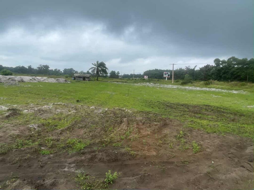 91d31f71-4a51-4c67-b05a-fd3e9aa62fe1