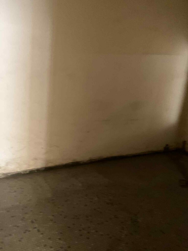 54f38a9d-ba8e-4a43-b33a-15db5348bd43