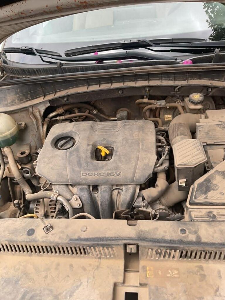 2e56efff-4539-4470-80f4-c95295be4fe1